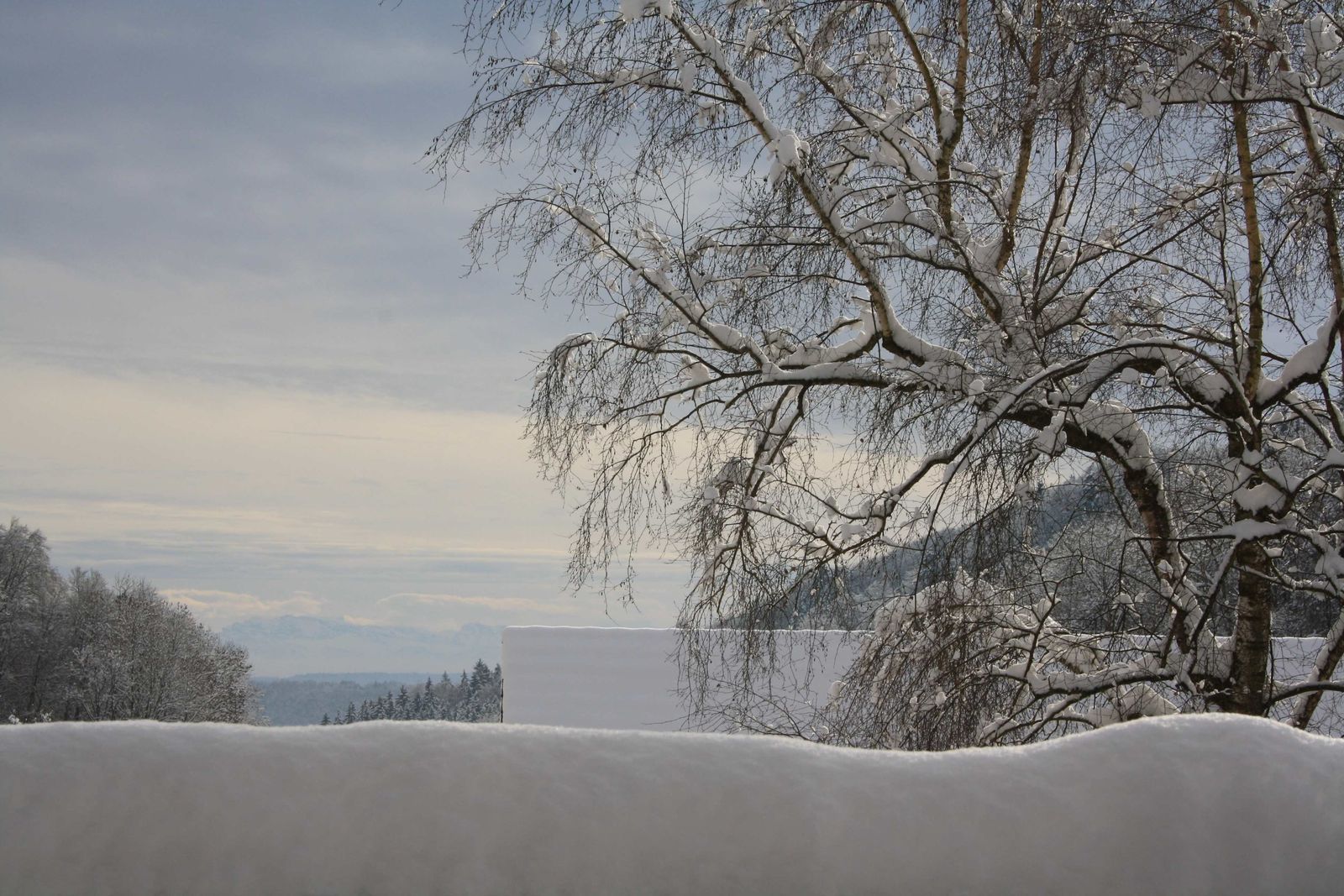 Alpenblick von der Terrasse